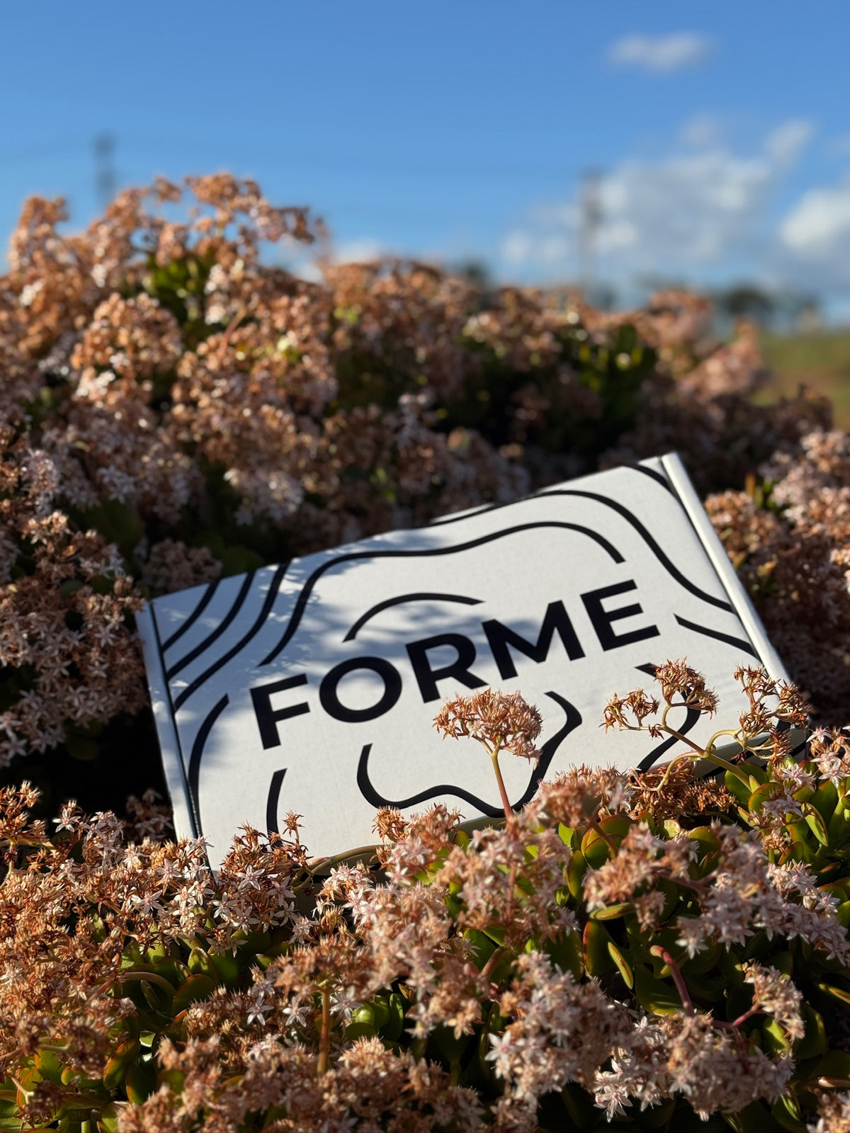 FORME Reset Box | 60-Day Guided Reset