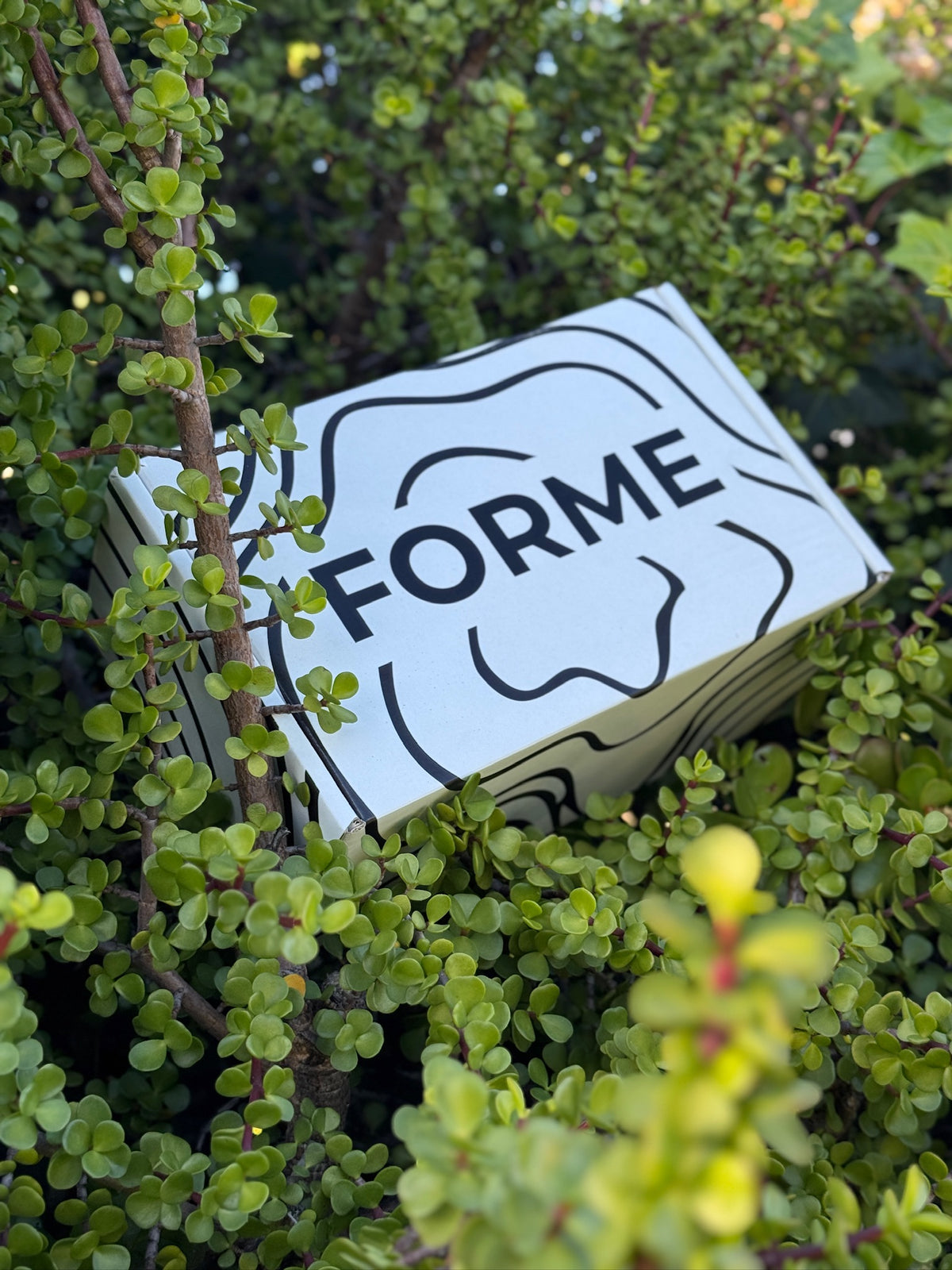 FORME Reset Box | 60-Day Guided Reset